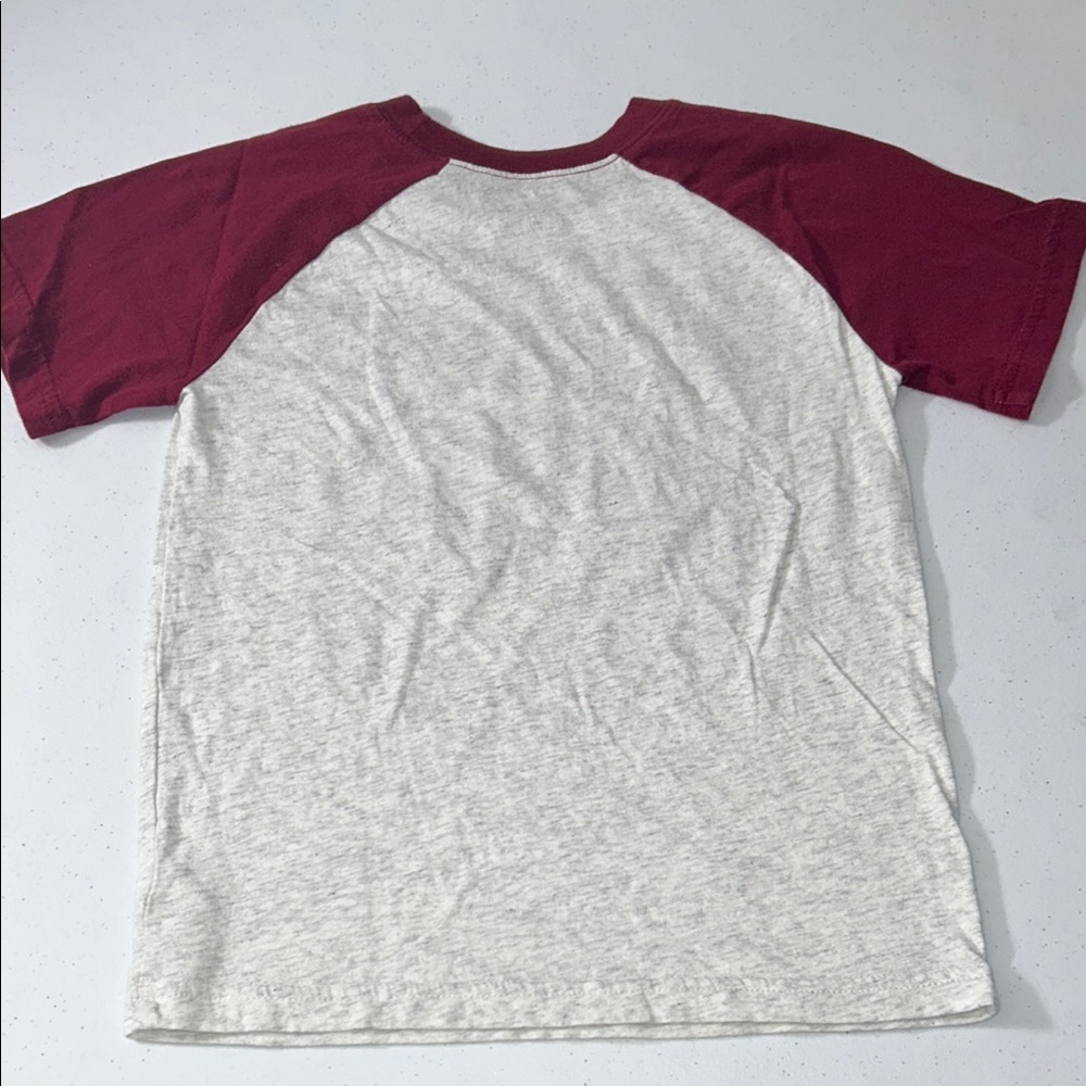 Legend in the Making Kids Raglan Graphic T-Shirt Size 6 - Picture 5 of 8